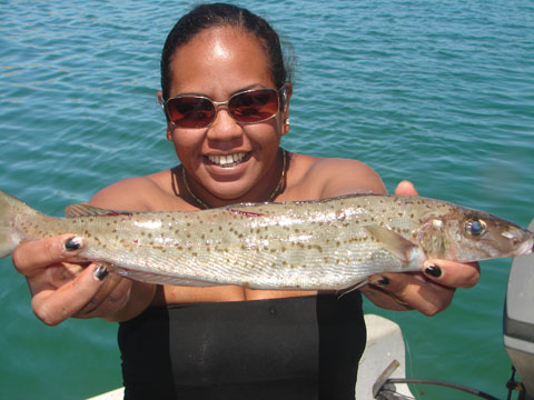 whiting fishing Perth