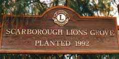 lions sign scarborough beach.gif
