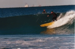 surf movie