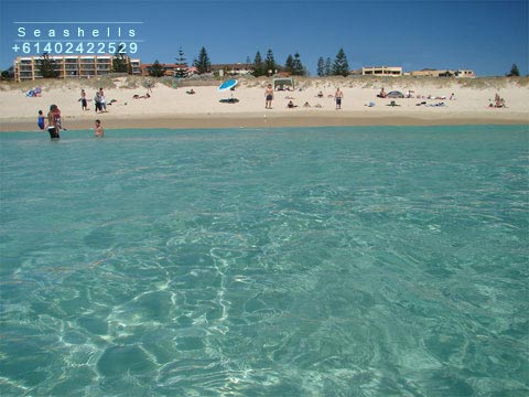 Photo of Scarborough Beach, near Seashells apartments