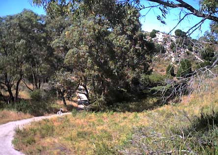 Australian bush nature conservation reserve Trigg Perth